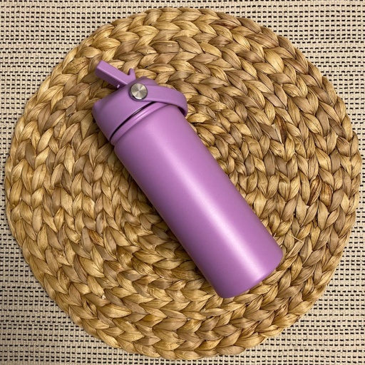 Stainless Steel Water Bottle 500ml | Purple